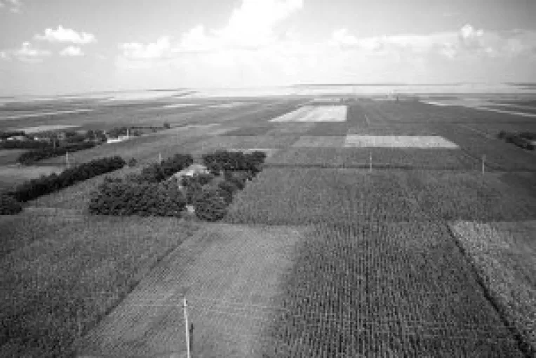 7.000 de fermieri nu si-au depus declaratiile pentru a primi subventii