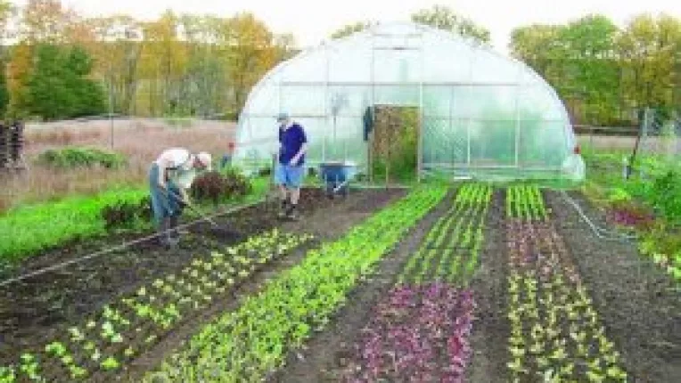 A pornit de la o ferma mica si un tractor care tragea sa moara