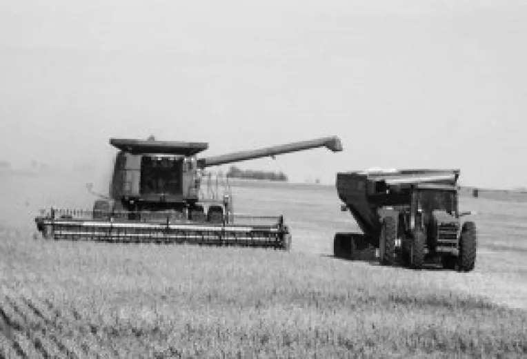 Blocada informationala la grau