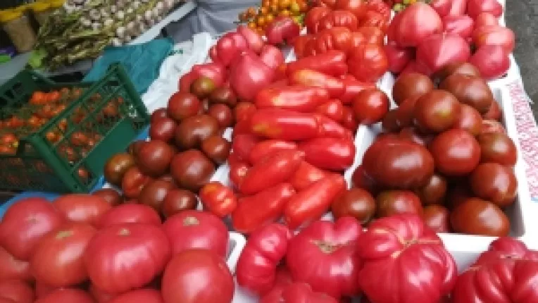 Constantin Buftea din Itesti: Ardei, rosii, castraveti, vinete, dovlecei si cirese