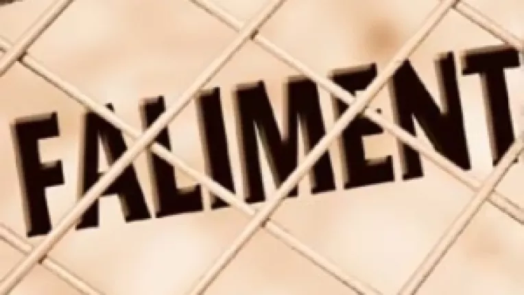 Corectarea unei erori a Guvernului Boc: Impozitul forfetar va fi eliminat din septembrie