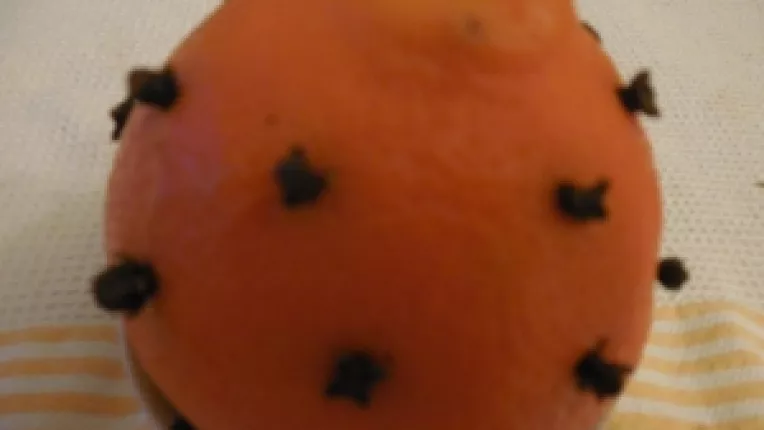 Cum sa iti parfumezi casa cu ingrediente naturale