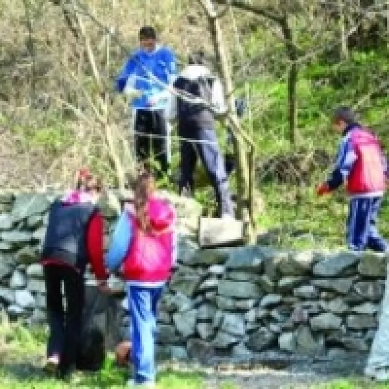 Ejobs, cel mai "traficat" site, cele de "dating" in colaps