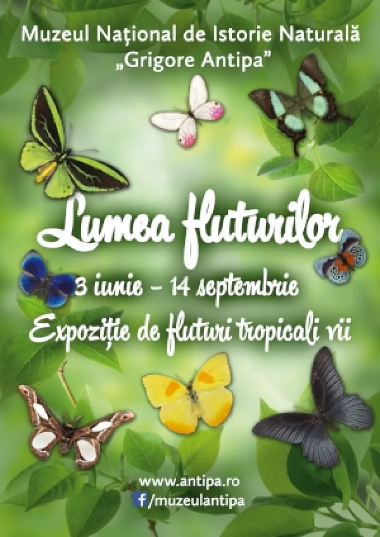 Expozitia "Lumea fluturilor" se prelungeste pana pe 14 septembrie!  
