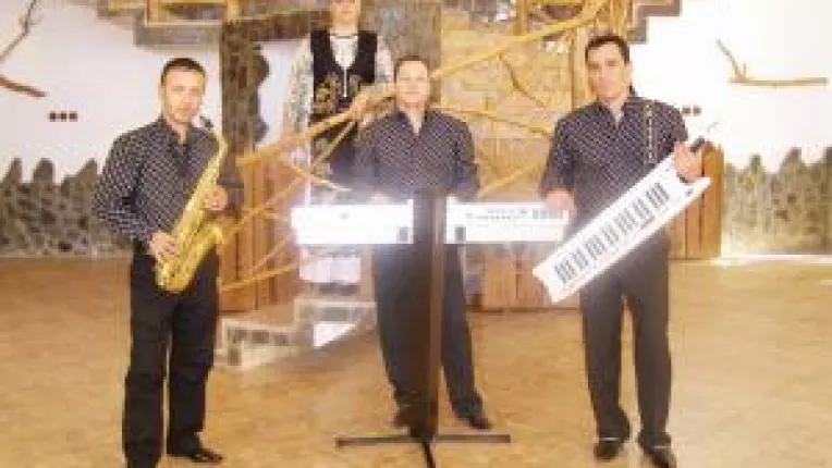 Fiscul cauta lautari