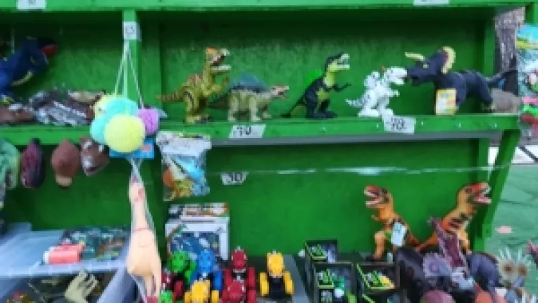 Liz Marinova de la Dino Park: Ousoare care se pun in apa si dupa o zi iese dinozaurul din ele!