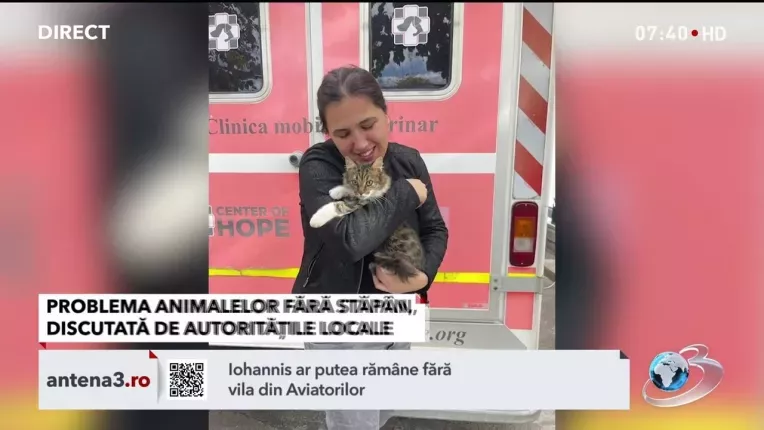 Mobilizare pentru problema animalelor fara stapan