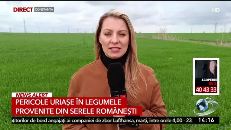 Pericolele neasteptate din legumele provenite din serele romanesti