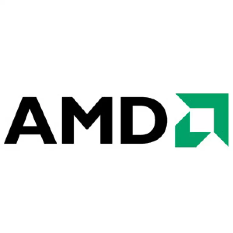 Pierderi record pentru AMD
