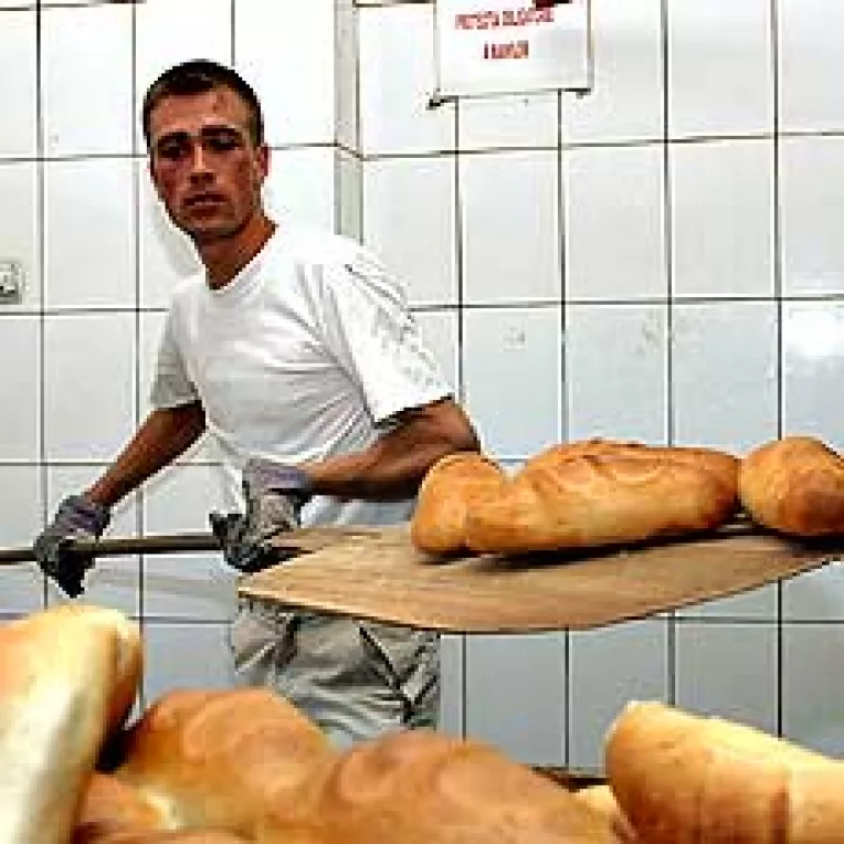 Ploile ne fac painea amara