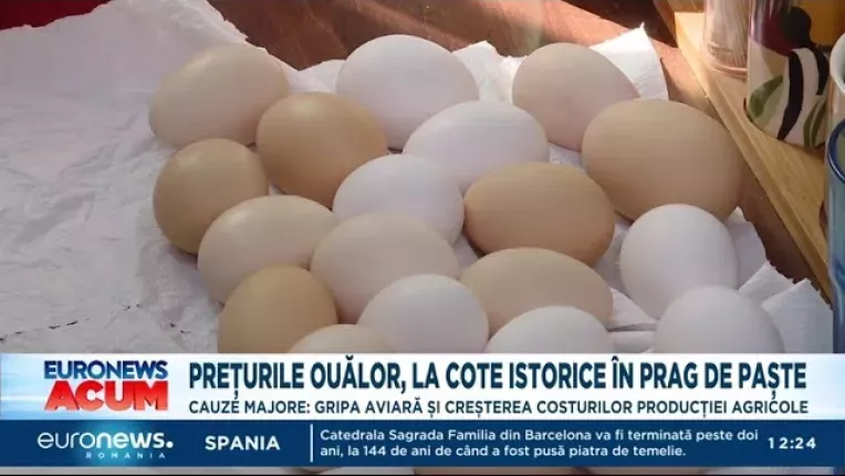 Pretul oualor, la cote istorice in prag de Paste. Care sunt cauzele