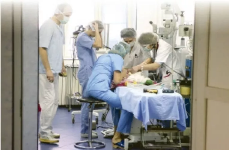 Prioritatile ministrului Nicolaescu : salarizarea medicilor, lista medicamentelor compensate, legea malpraxisului, bugetul pentru transplant, citostaticele si  alocatia stomatologica