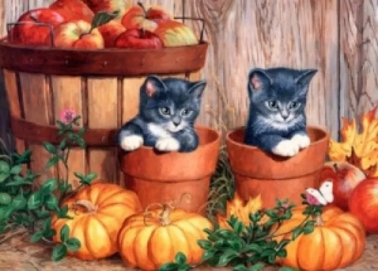 Progonoza meteo, pe regiuni istorice, in intervalul 19 Septembrie - 2 Octombrie 2016