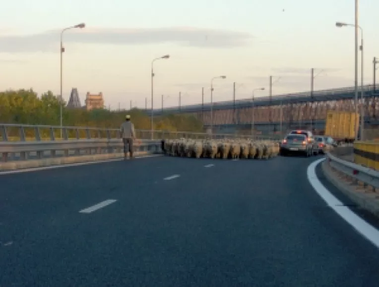 Raportul Bancii Mondiale: Romania sub standardele europene de transport 