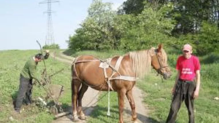 Romania nu e in stare  sa ia fonduri europene