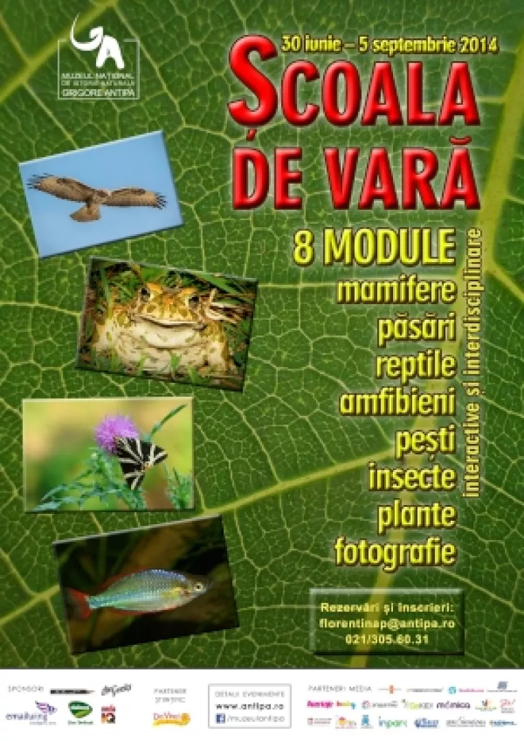 Scoala de Vara, Lumea Insectelor, la Muzeul Grigore Antipa