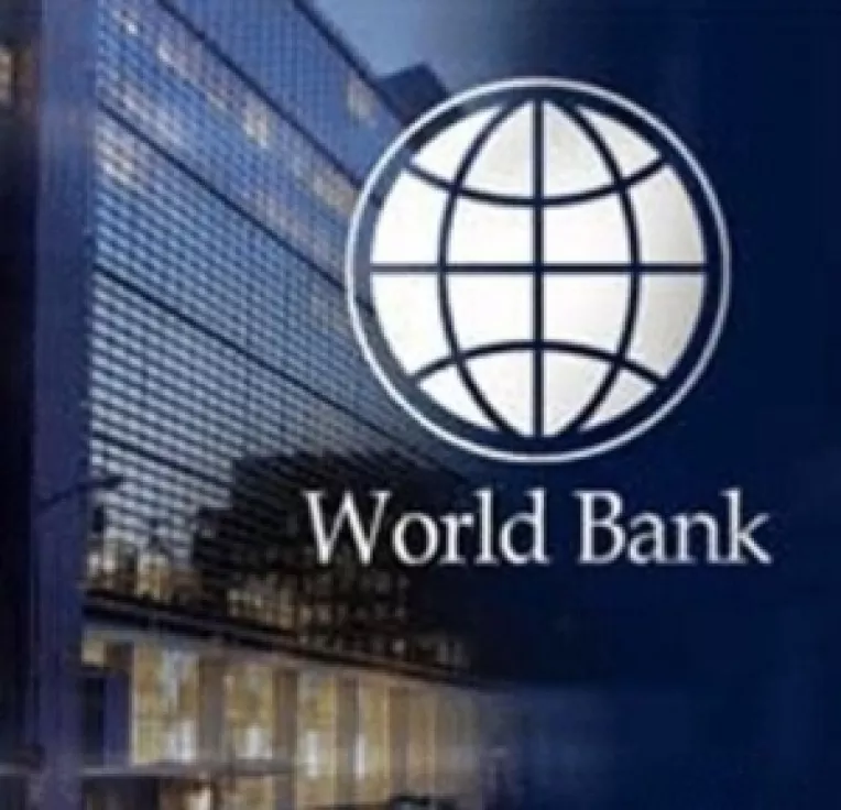 Sue Rutledge (Banca Mondiala): Romania are nevoie de un Ombudsman bancar pentru o mai buna informare a cetatenilor