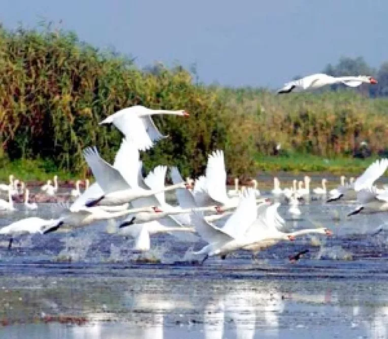 Taxa de intrare in Delta Dunarii